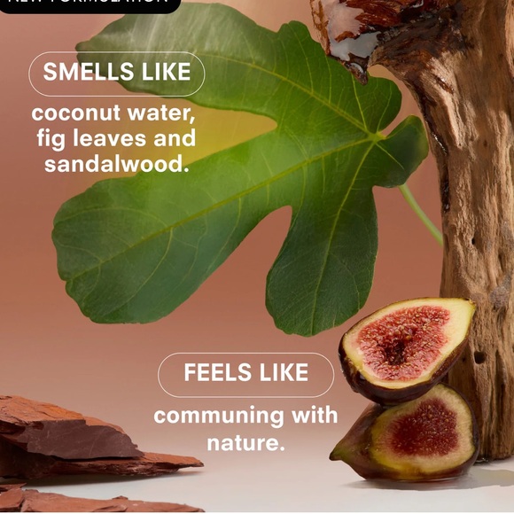 Boy Smells Woodphoria Eau de Parfum Anthropologie nwb - Picture 4 of 8